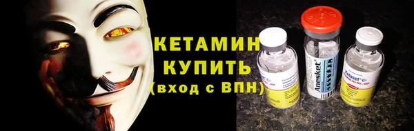 хмурый Щигры