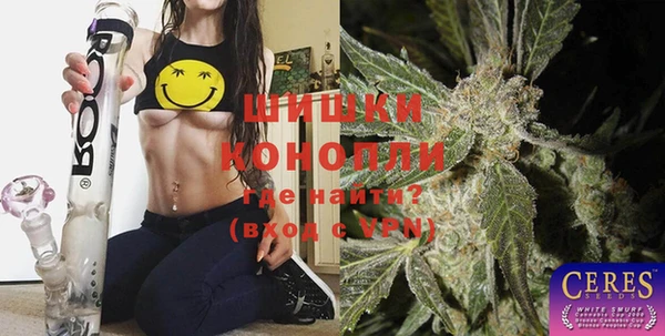 spice Осташков