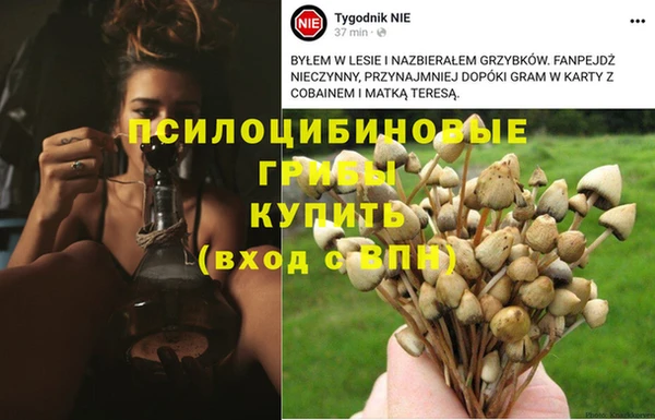 a pvp Елизово