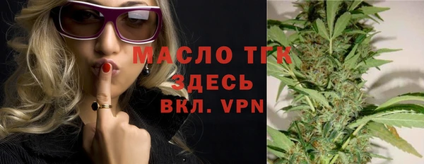 хмурый Щигры